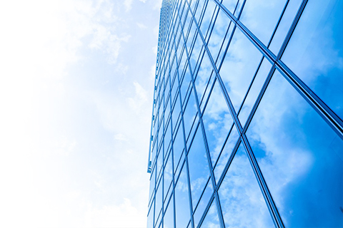 聯(lián)盛（福建）紡織科技發(fā)展有限公司