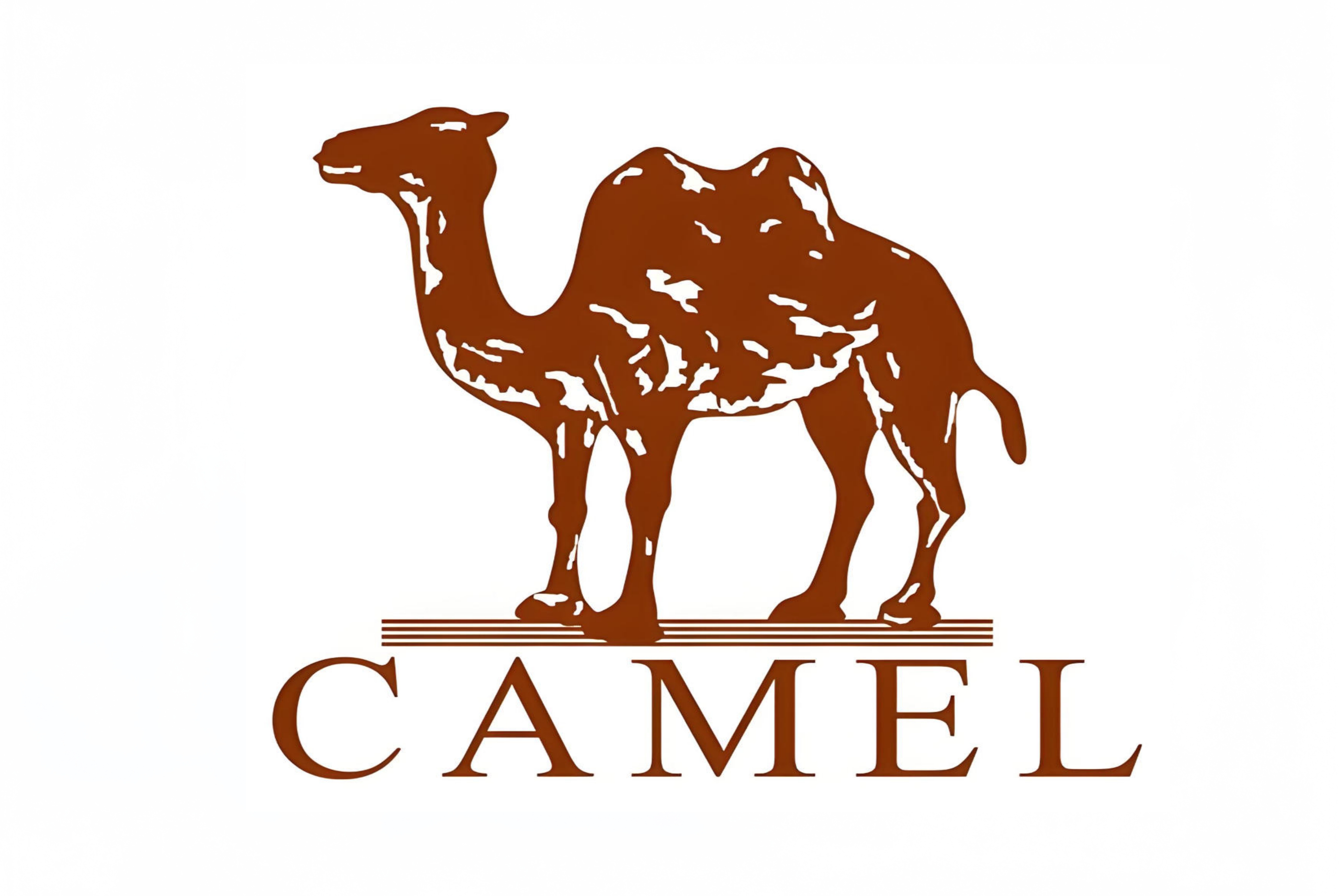 駱駝（中國(guó)）戶(hù)外用品