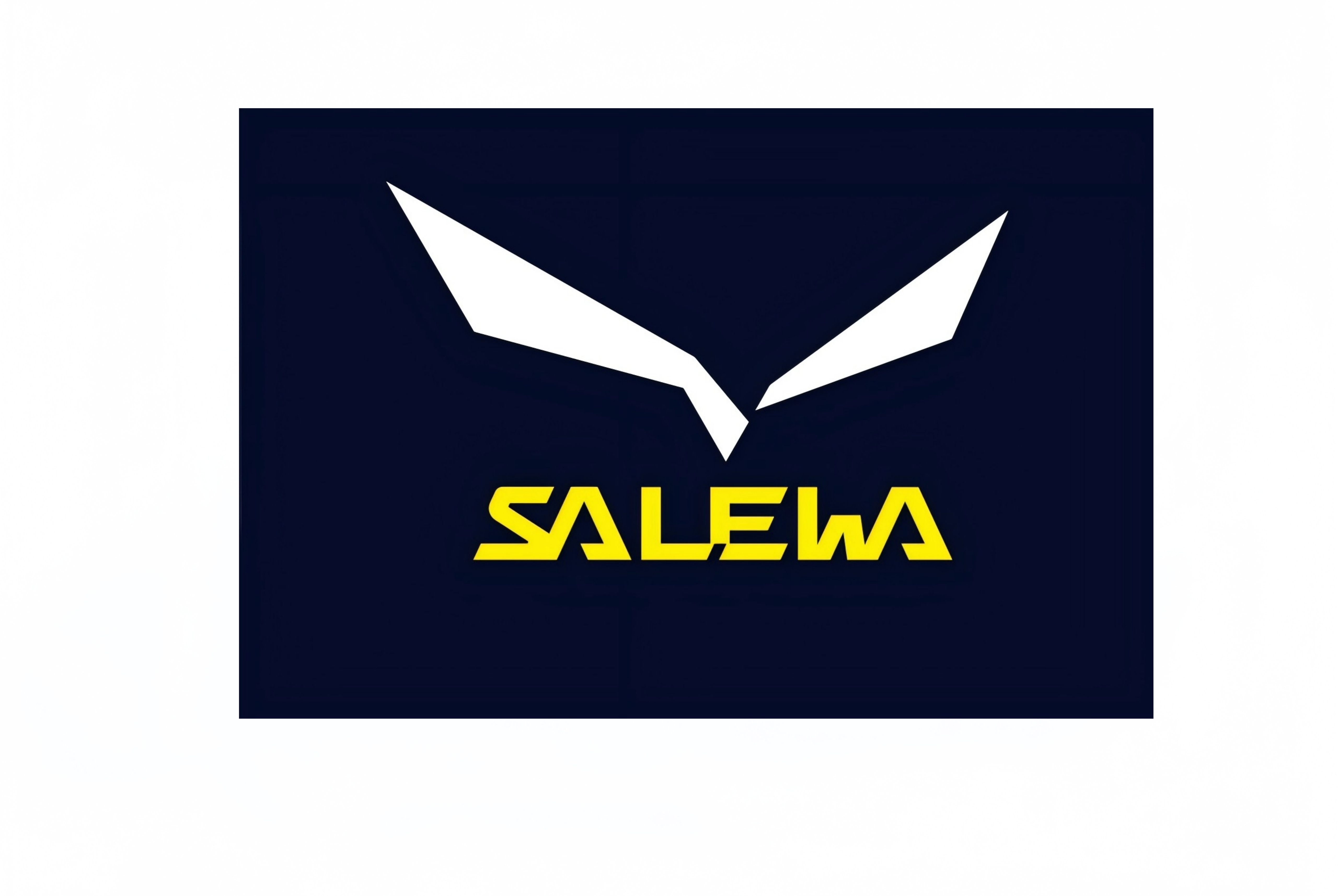 SALEWA沙樂(lè)華